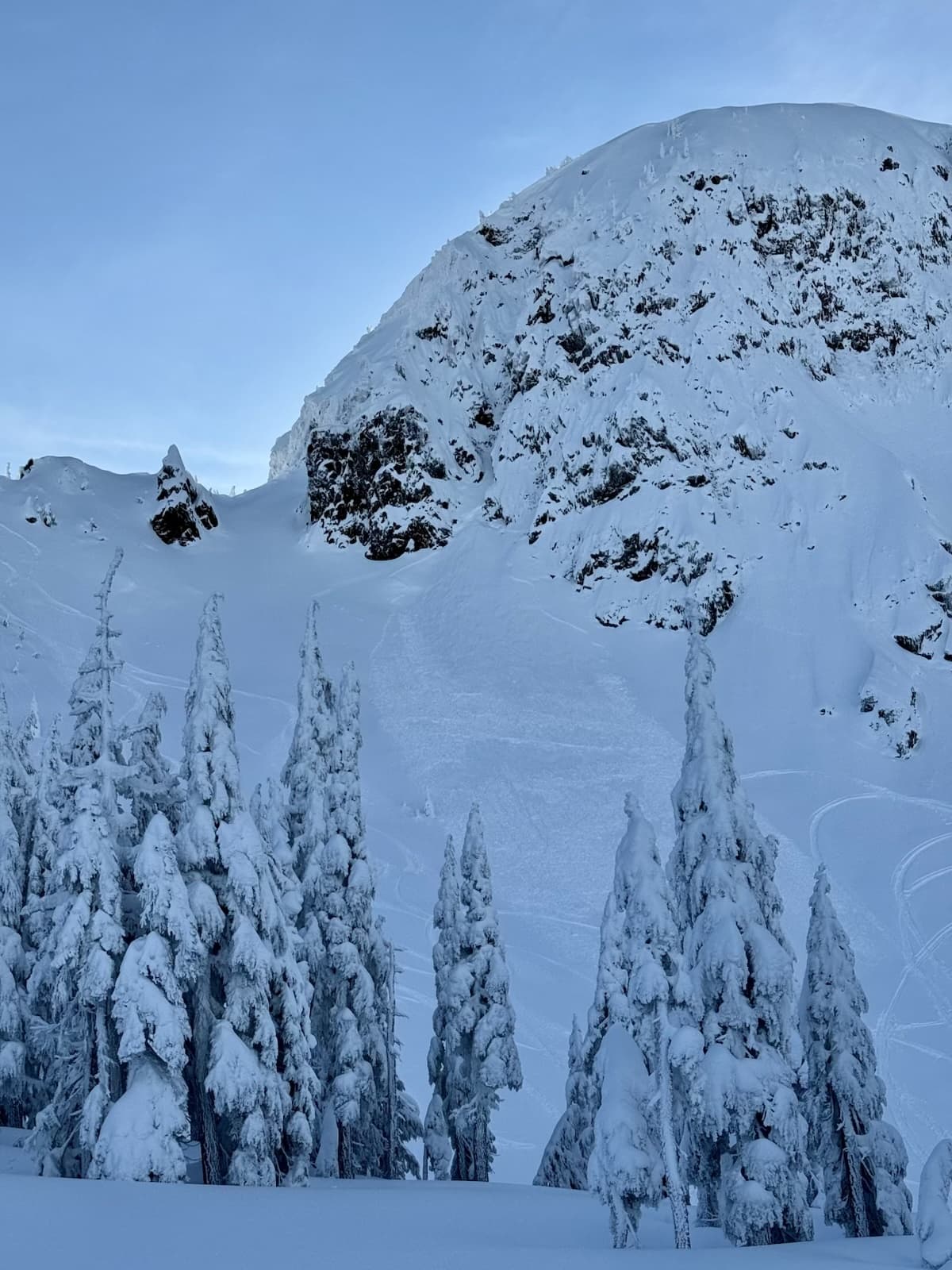 Look closely and you'll see two avalanches one recent and to the lookers left of it an older fracture line from during the storm.