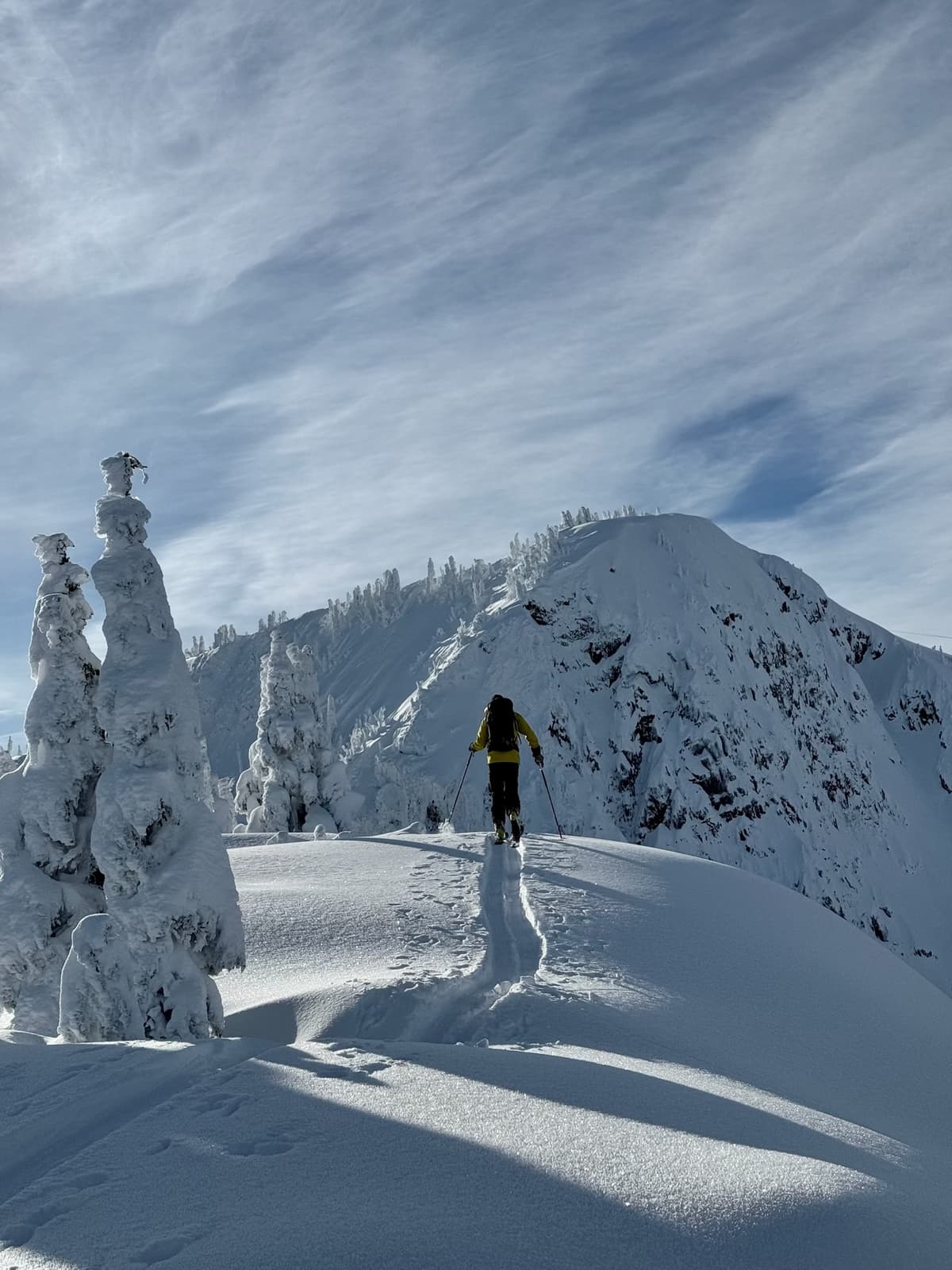 Storm snow settling quickly but enough ski penetration to make for nice skiing.