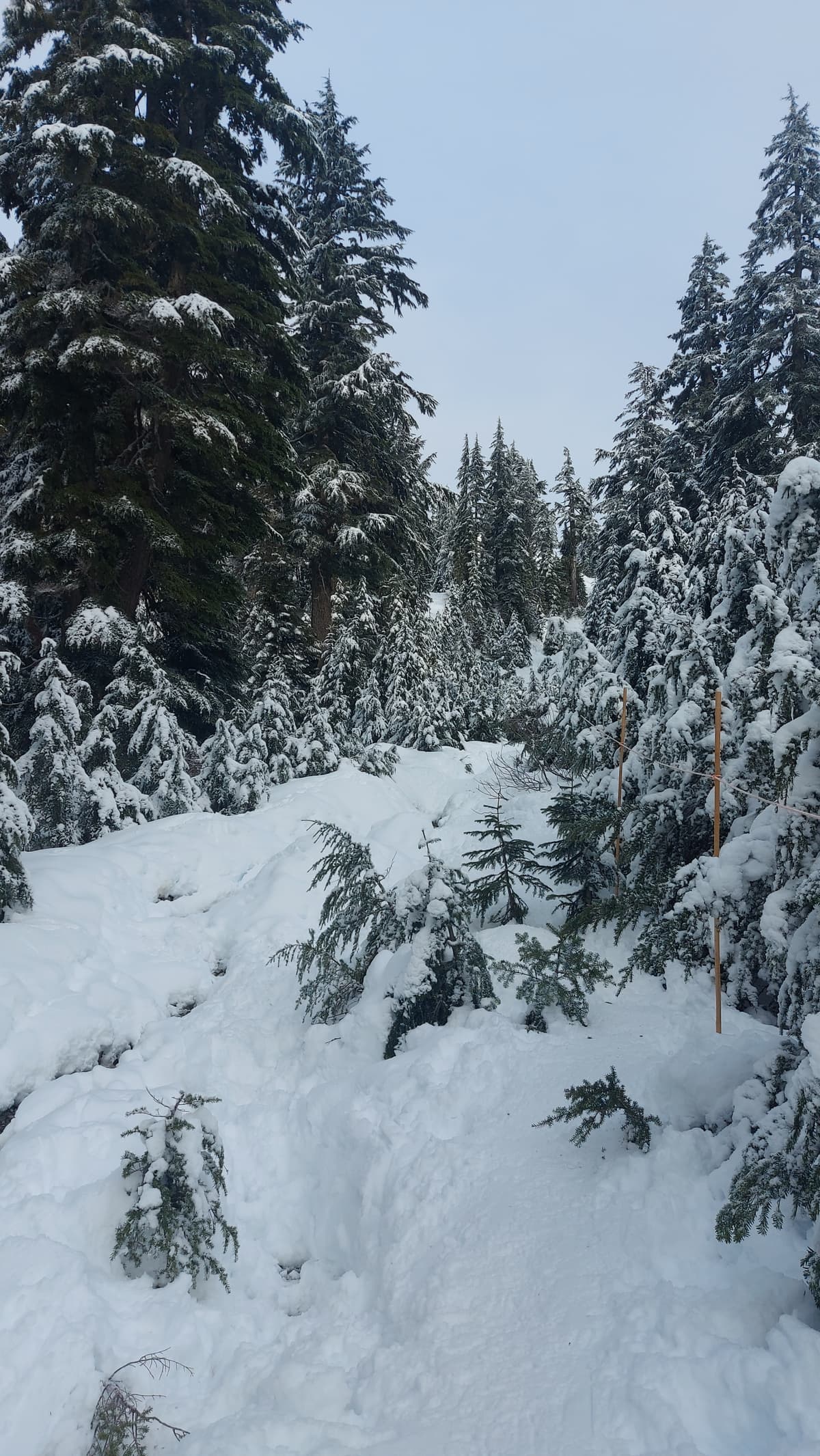 Hiking trail to Brockton Point