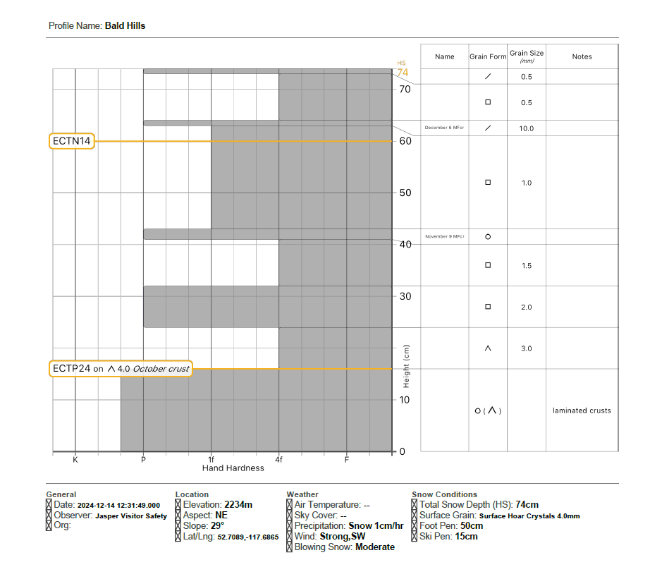 Extended Column test propagated across the whole block on 4mm depth hoar above a crust. The October crust at the base of the snowpack is a mix of laminated crusts and depth hoar.