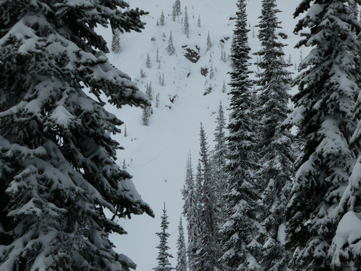 Trigger point at buried rock/thin spot dropping off ridge feature into fat spot in gully feature. Can See riders track exiting mid avalanche.