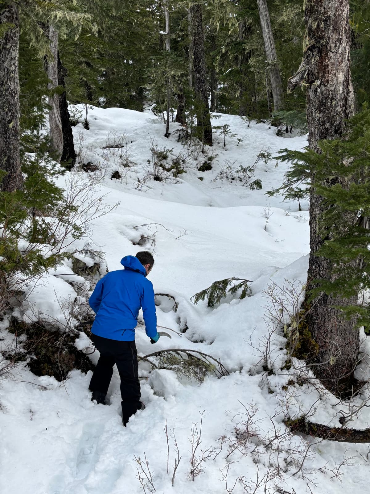 Making the trail better, one cut at a time
