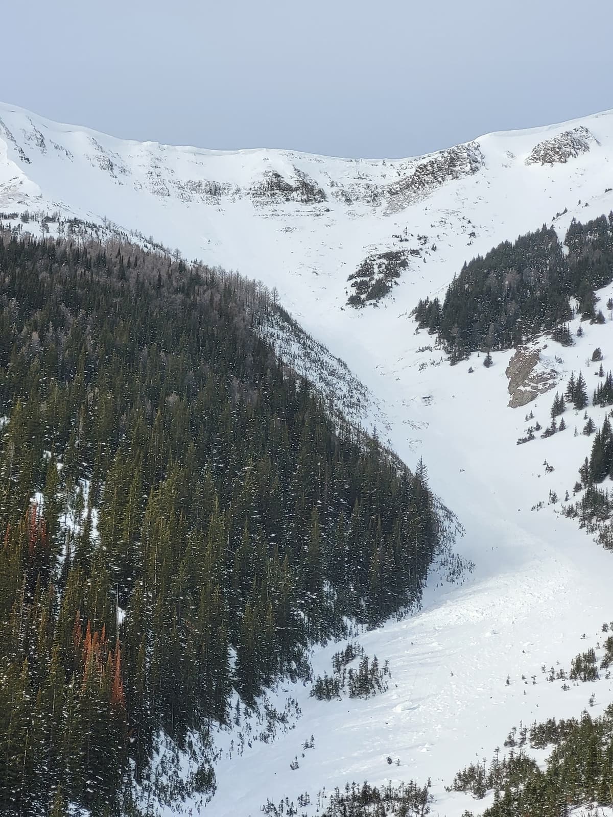 Cornice triggered size 2 Persistent slab looked a couple days old plus a couple older ones on East aspect