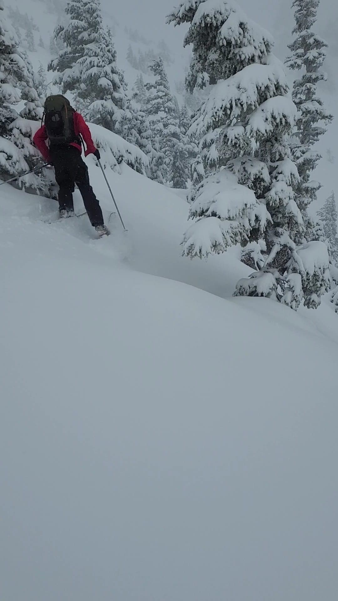 East bowl