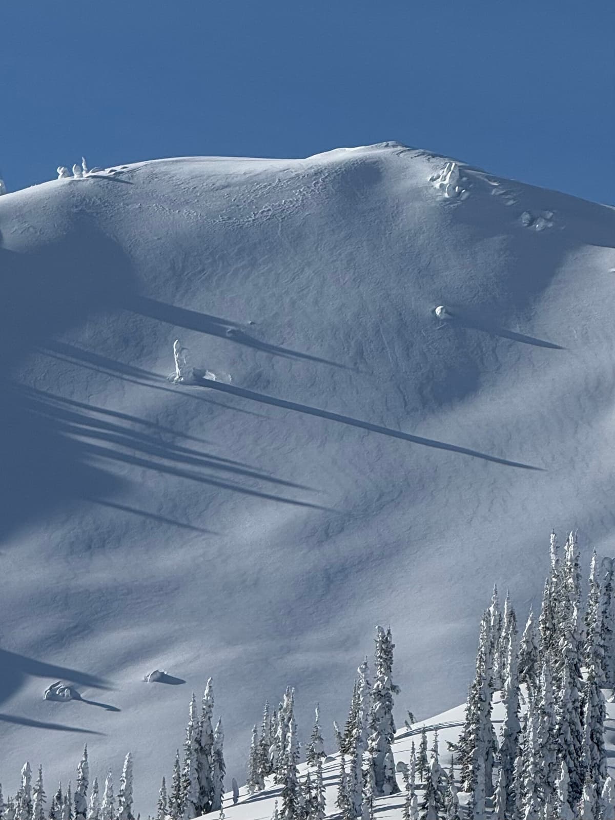 You can see the pattern recent winds have created, crossloading this upper treeline/alpine feature.