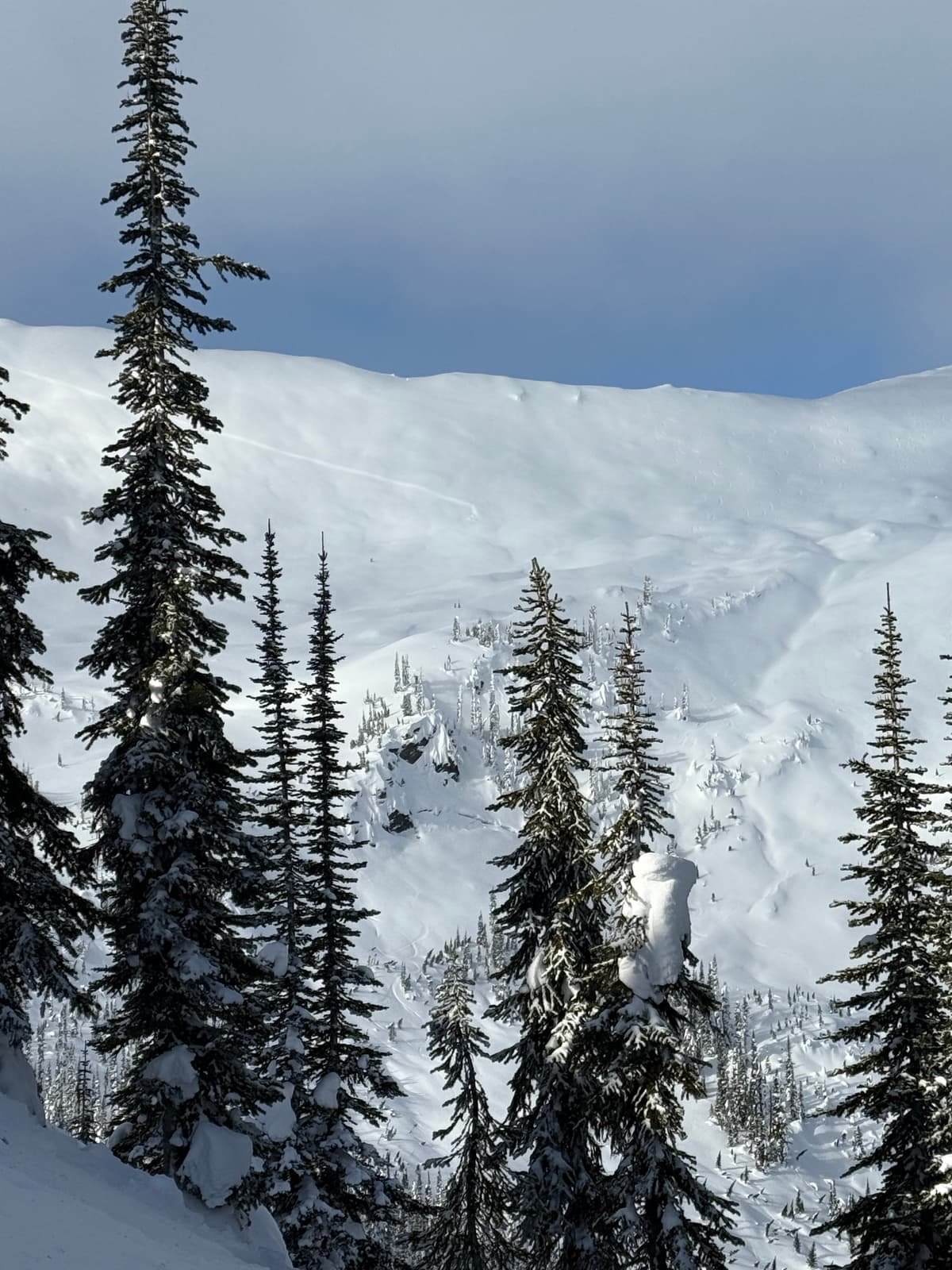 The crownline from the remote triggered avalanche from Dec. 29 is still visible.