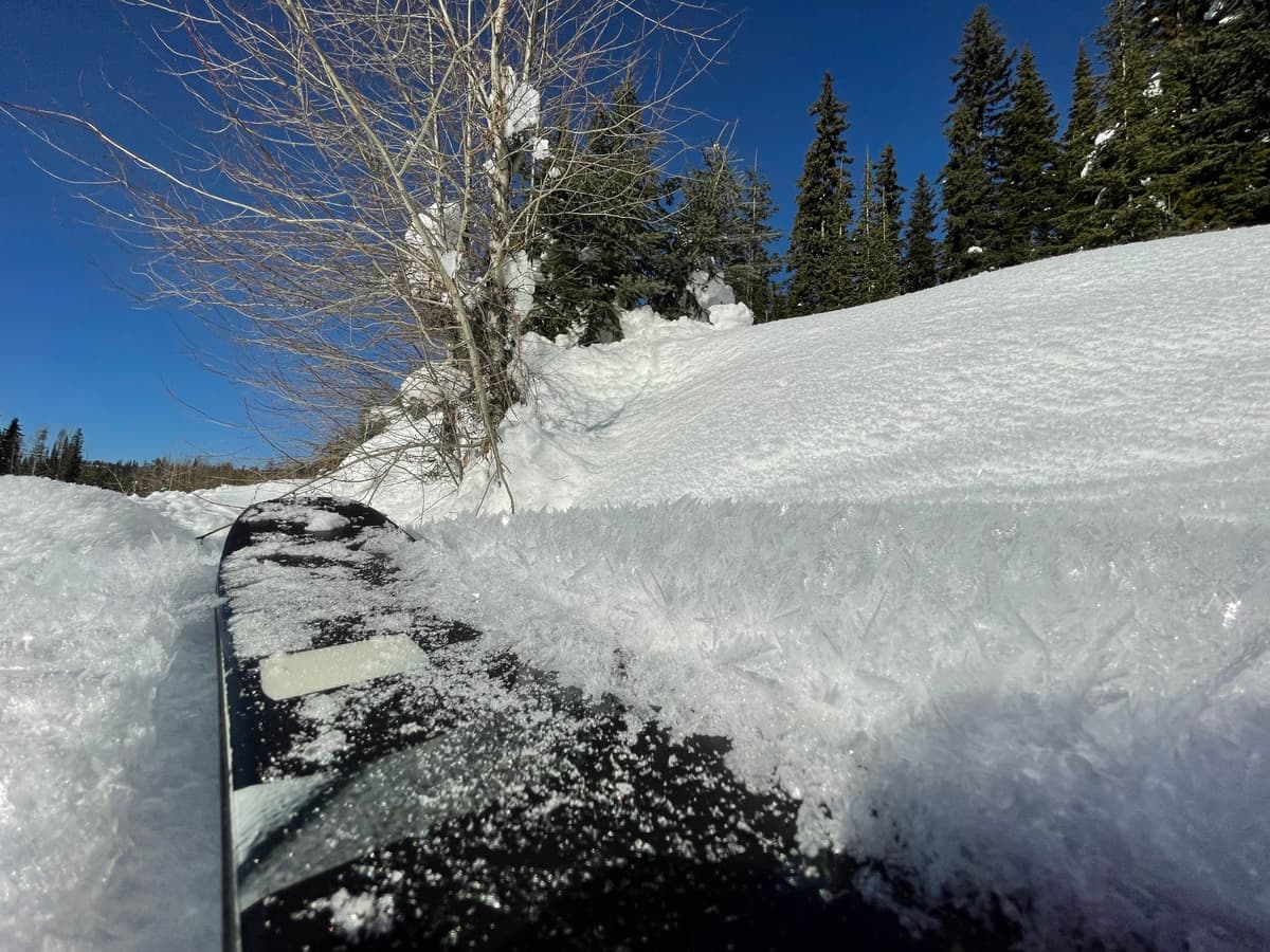 Surface hoar is widespread ahead of Friday's storm
