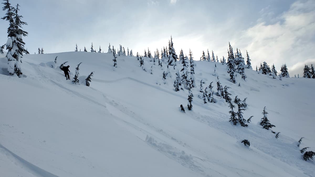 Skiier triggered slab on N facing 26 degree slope.
