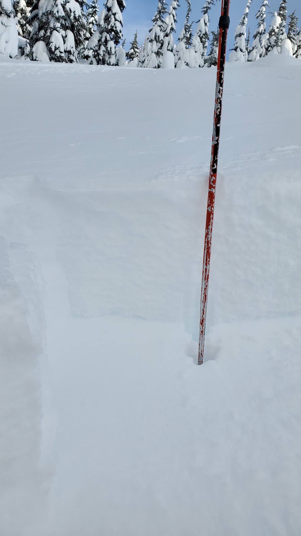 Approx. 50cm deep slab sitting on preserved surface hoar on a Melt/Freeze crust.