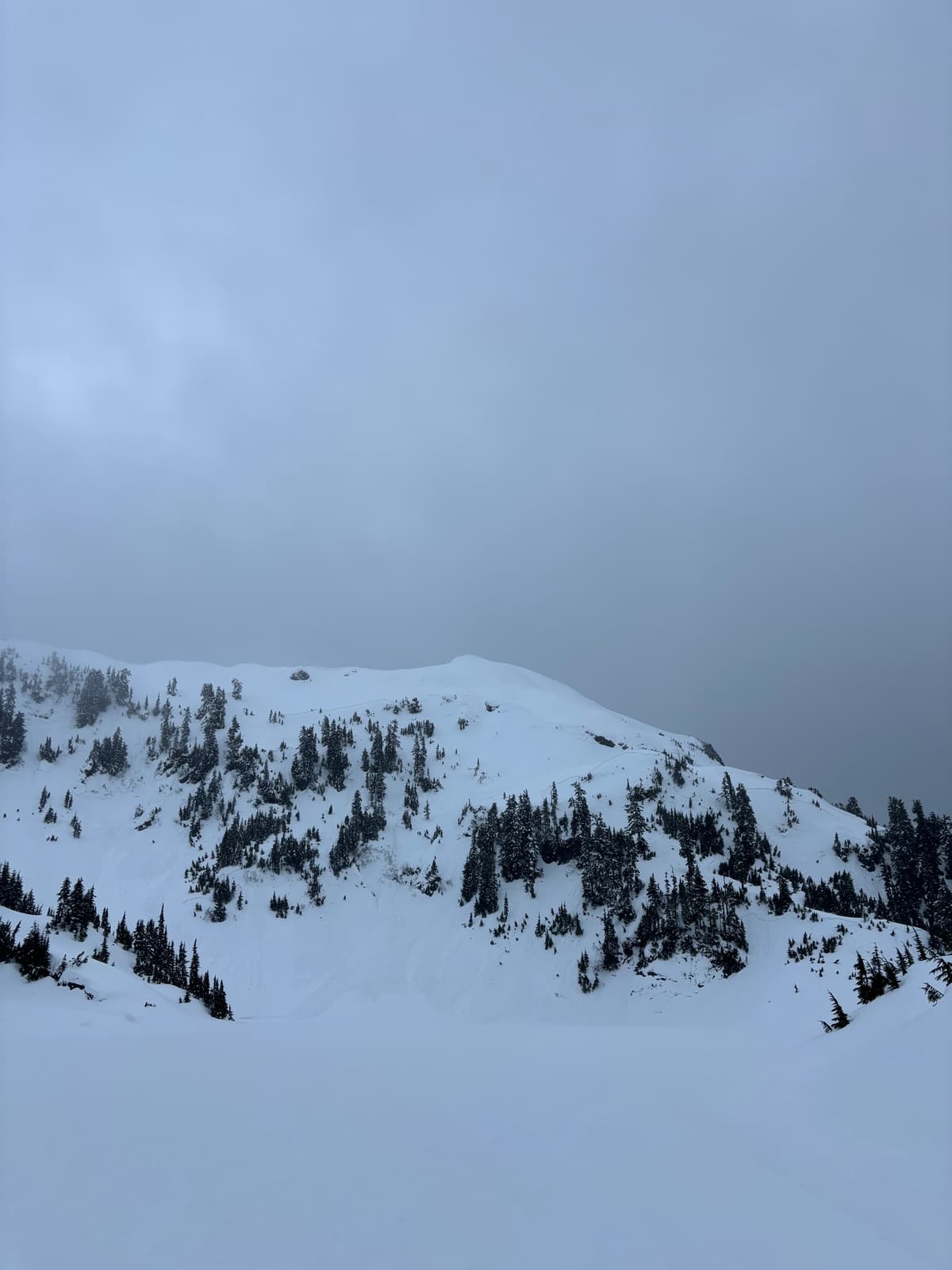Jan 31. NW aspect. New signs of avalanche activity.