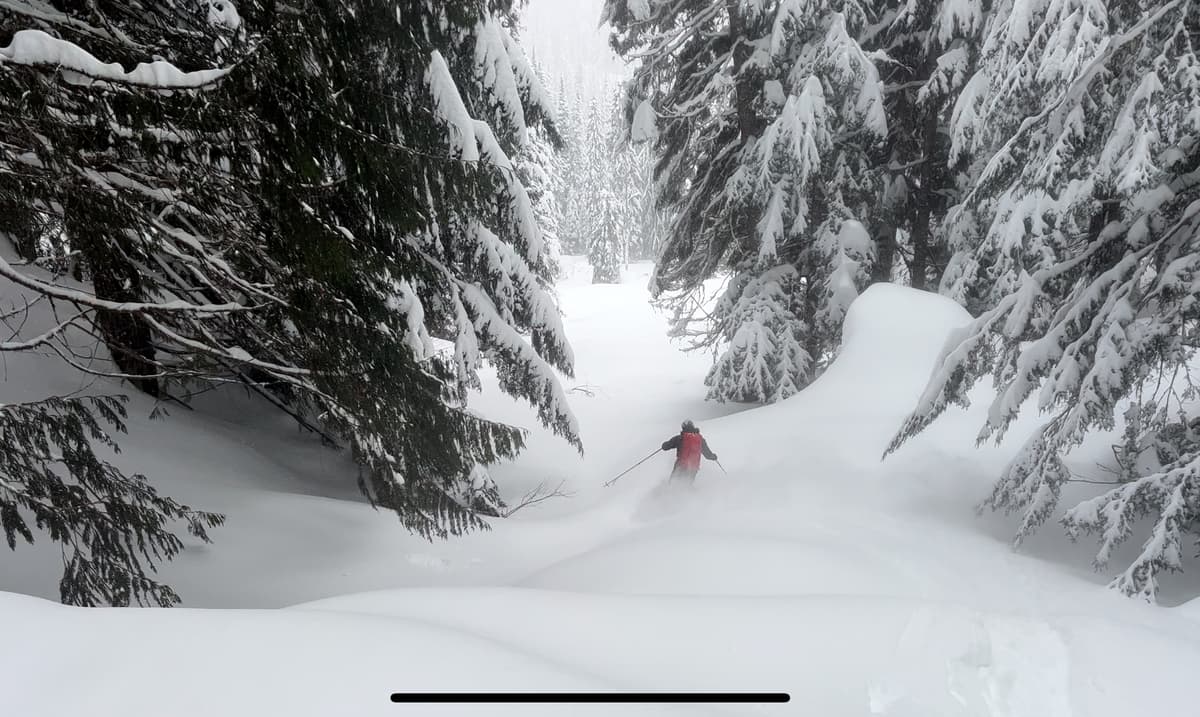 Great skiing in the trees and lower angle terrain.