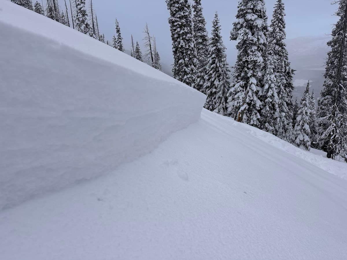 Crown on the first natural avalanche, it was approximately 45 cm deep over 13mm surface hoar.