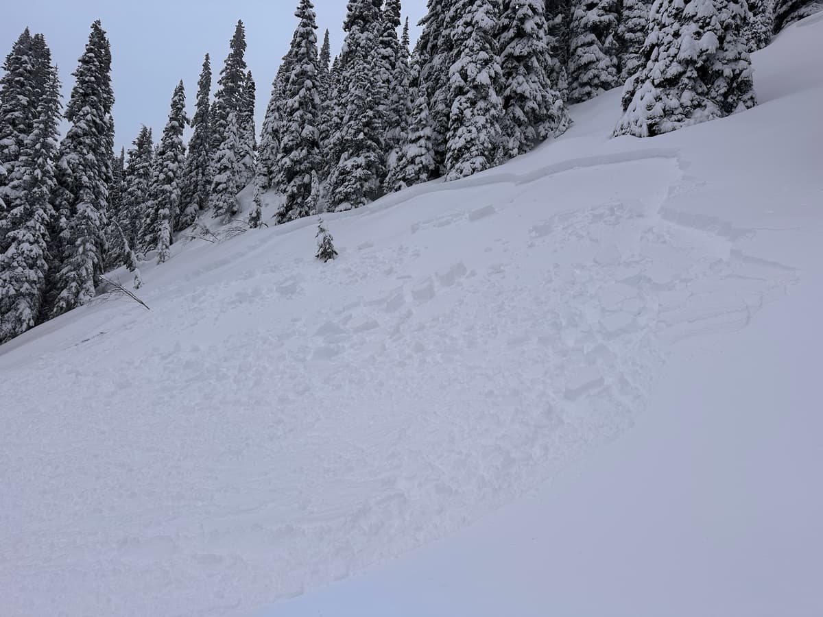 The size 1.5 natural that caused us to revaluate our route.