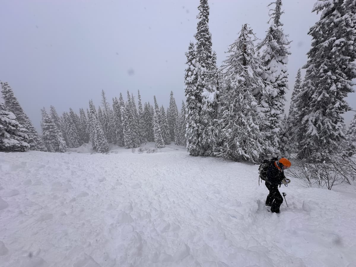 Debris and location of skier caught in avalanche.