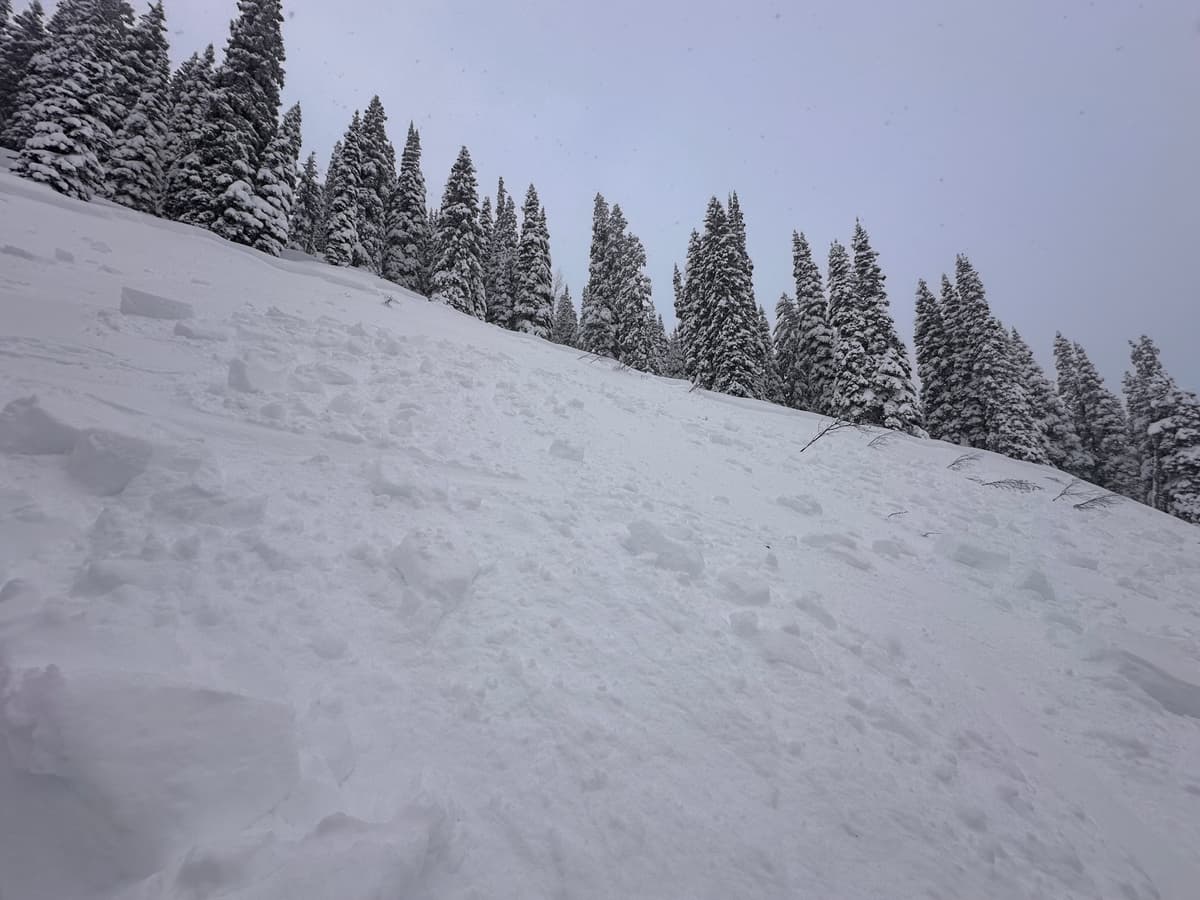 Crown of the skier triggered avalanche. It was triggered near the top left of the image.