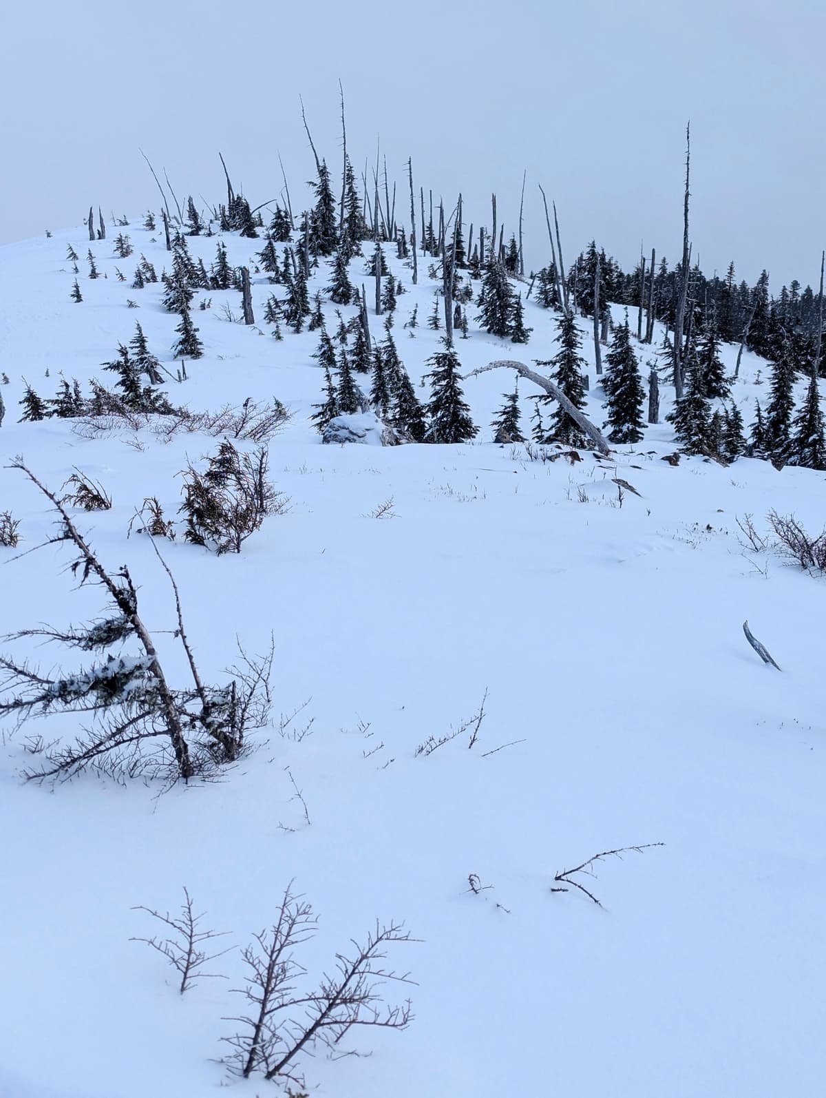 Shallow snow on East ridge (burnt ridge)
