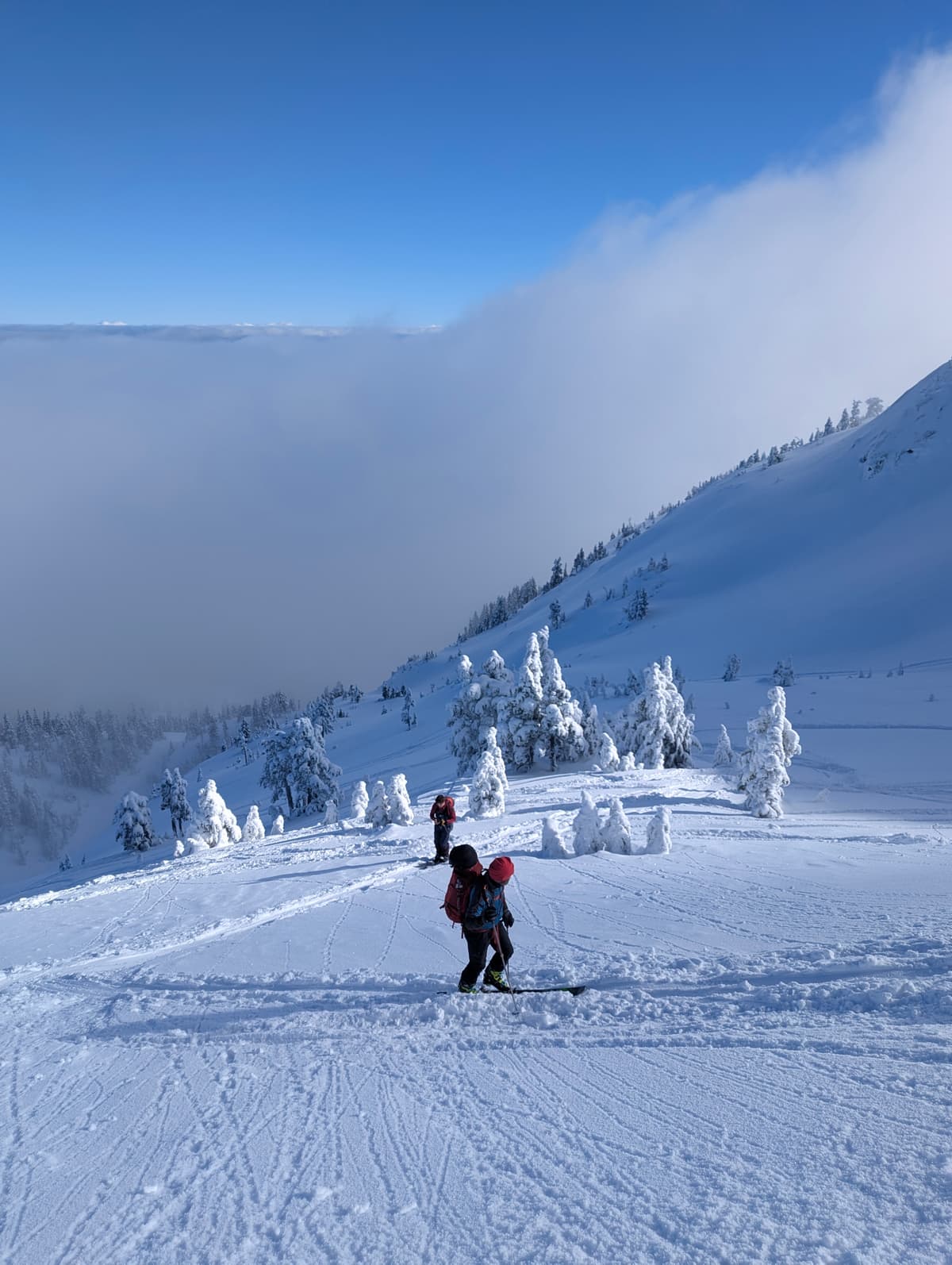Skining up NE bowl near summit of cokely