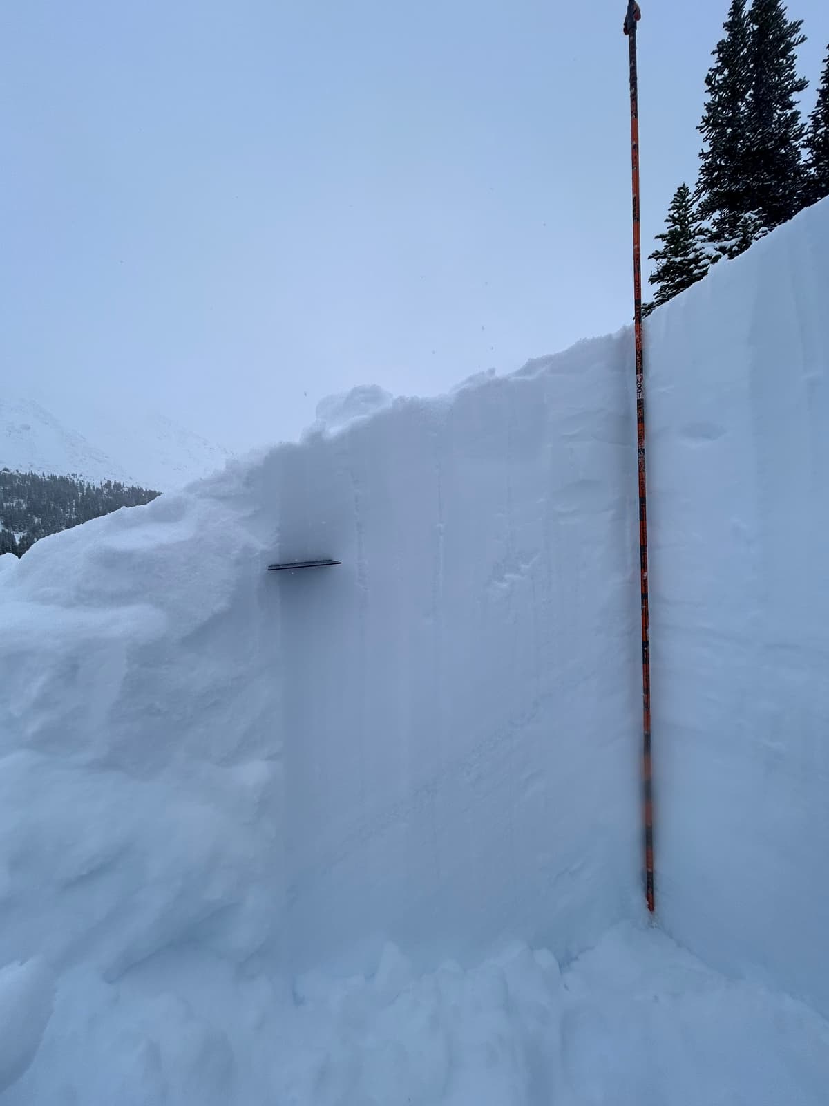 180cm at 1500m