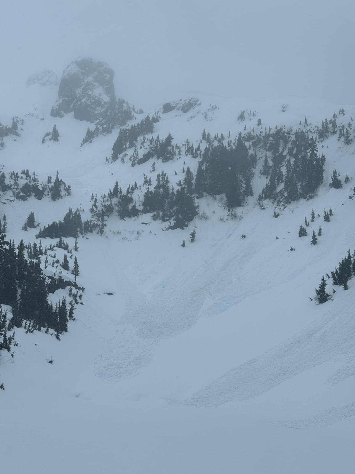 Many slides around Cobalt Lake