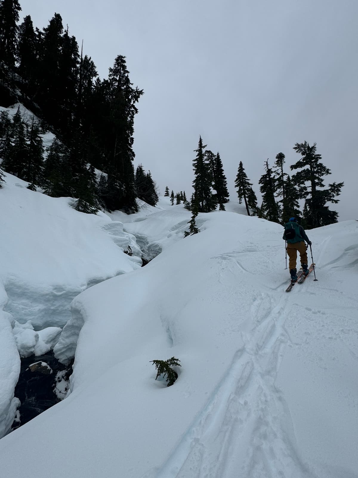 Open creeks