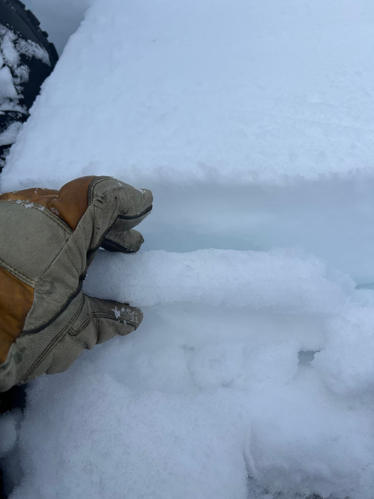 7cm crust under a few cm of soft snow