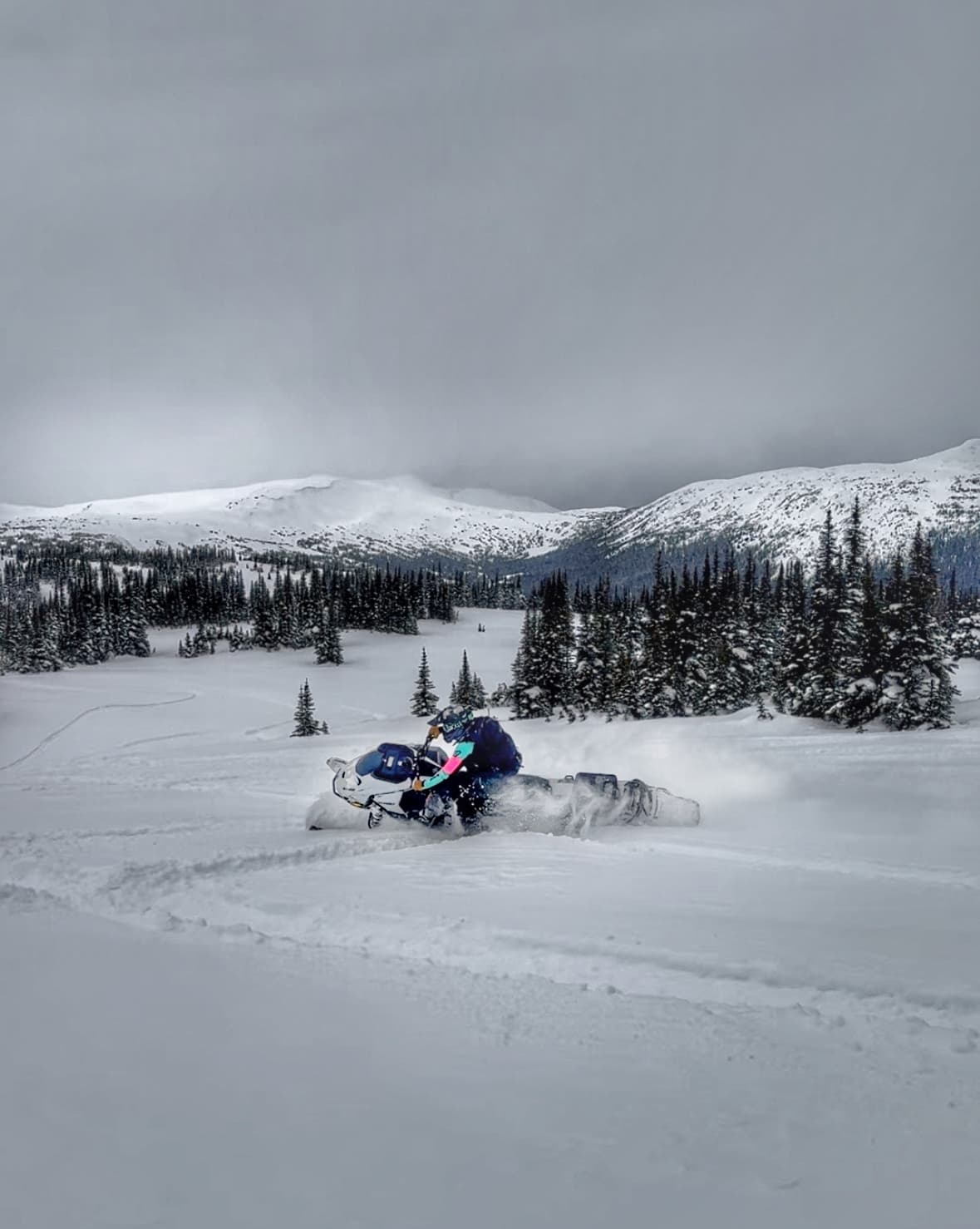 While you can still feel old tracks in many places, many soft turns were found!