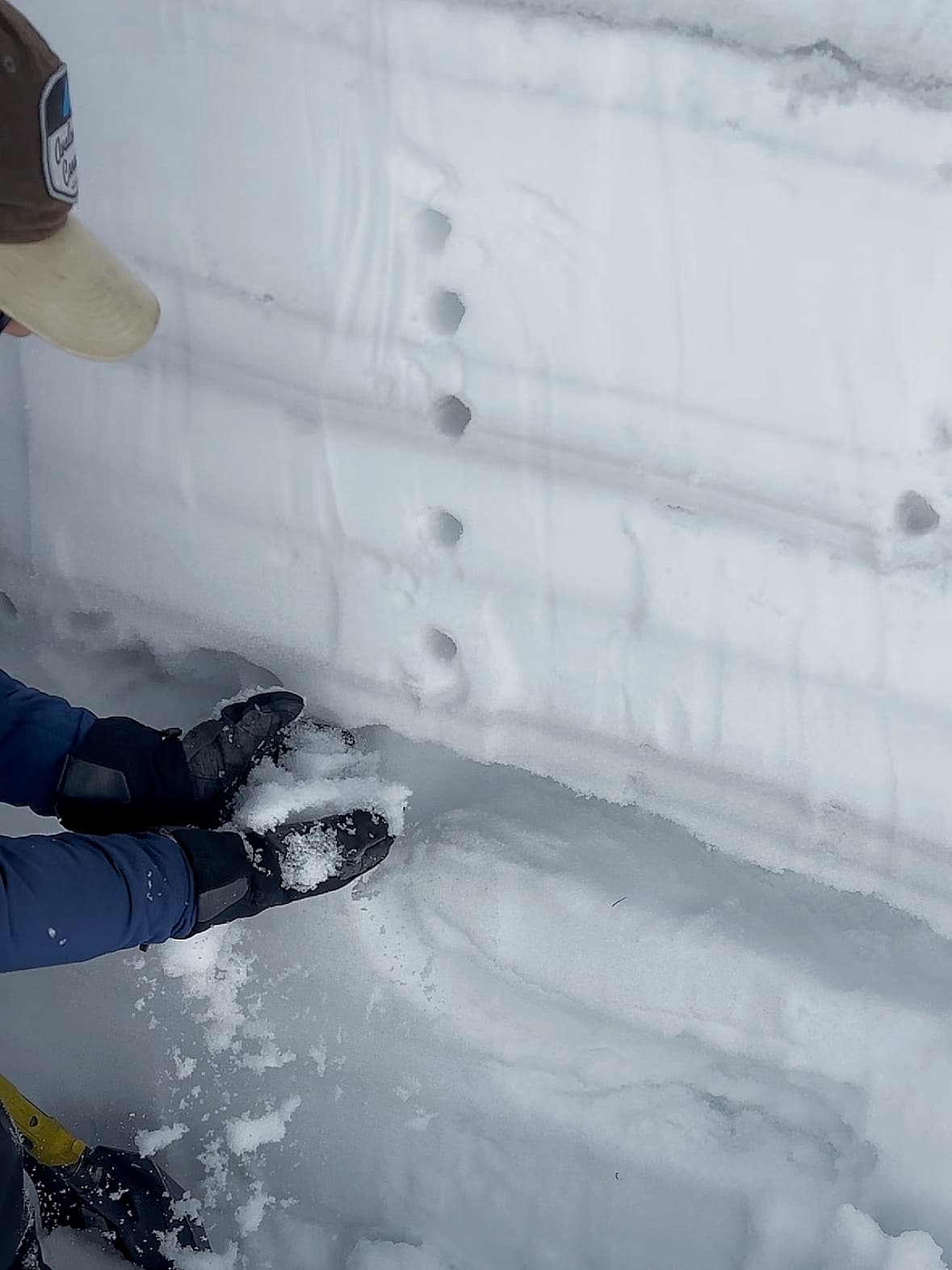 Even though the snowpack is moist top-to-bottom, we found the faceted PWL down 90 cm