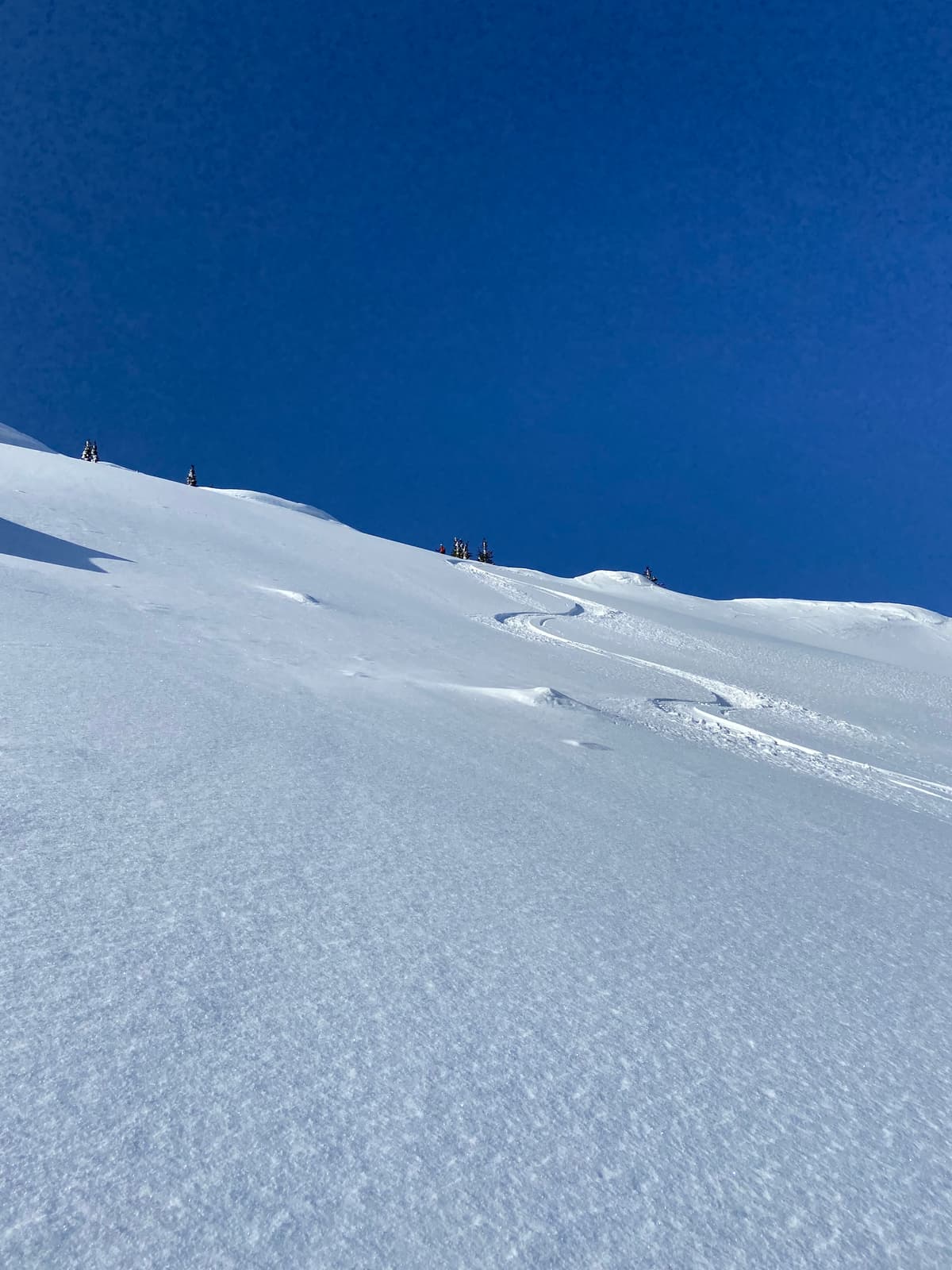 35cm of dry powder.