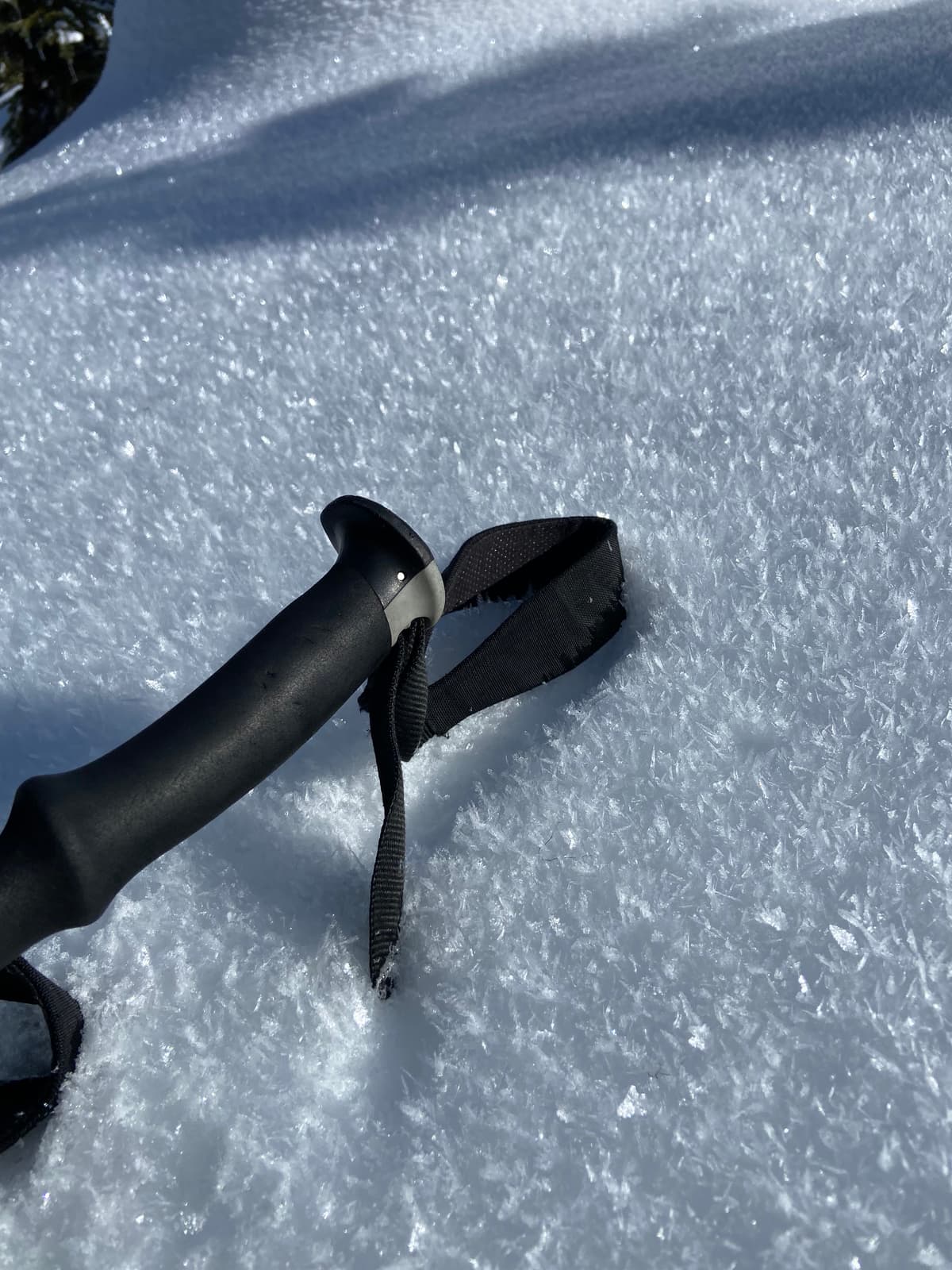 Lots of surface hoar on north aspects.