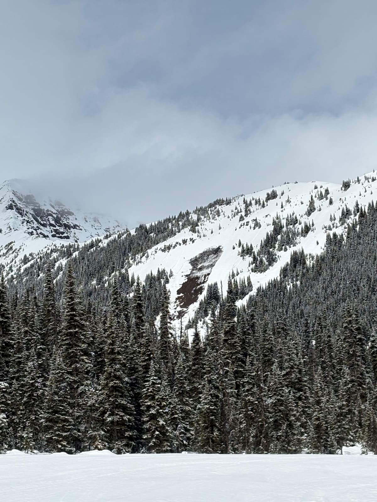 Avalanche to ground on a south-facing slope at 1500m.