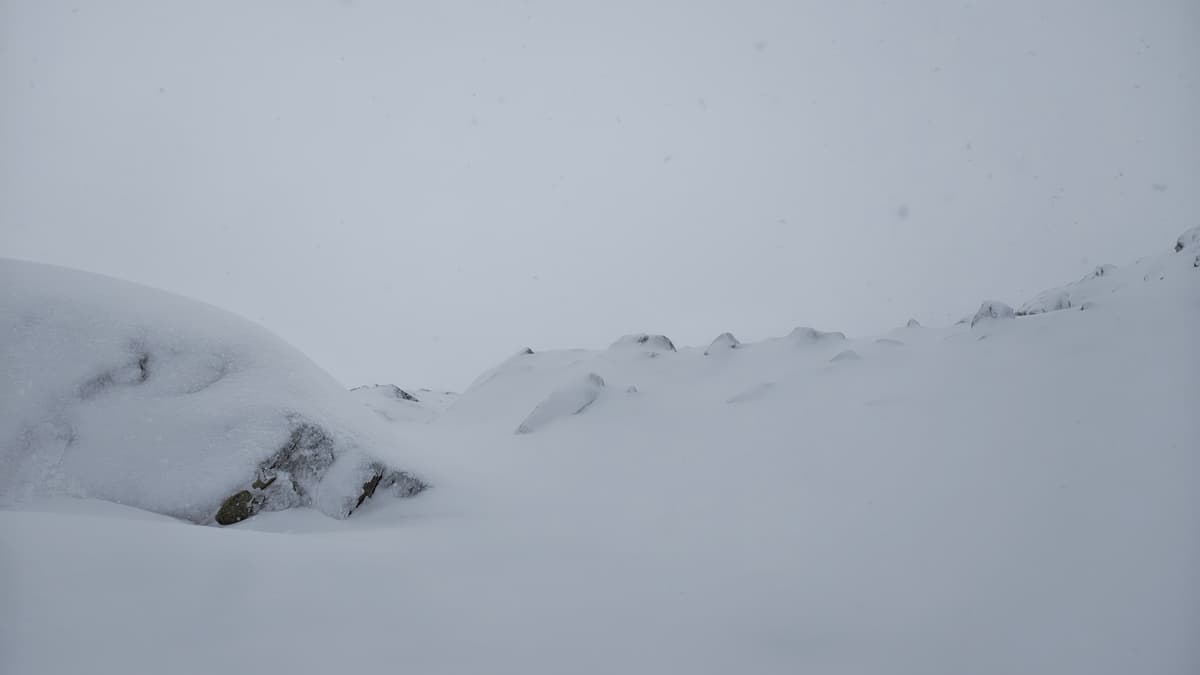Skiable lines in the higher alpine, but beware of sharks ofc