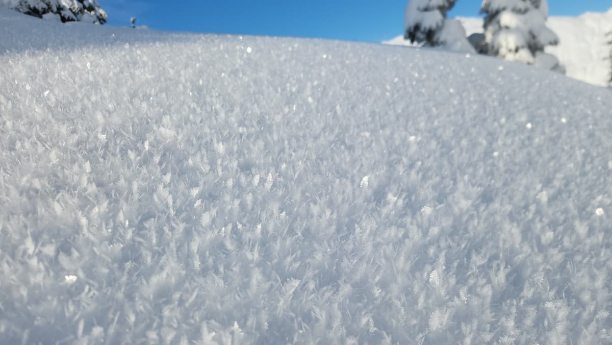 Surface hoar to 20 mm on the knoll ridge
