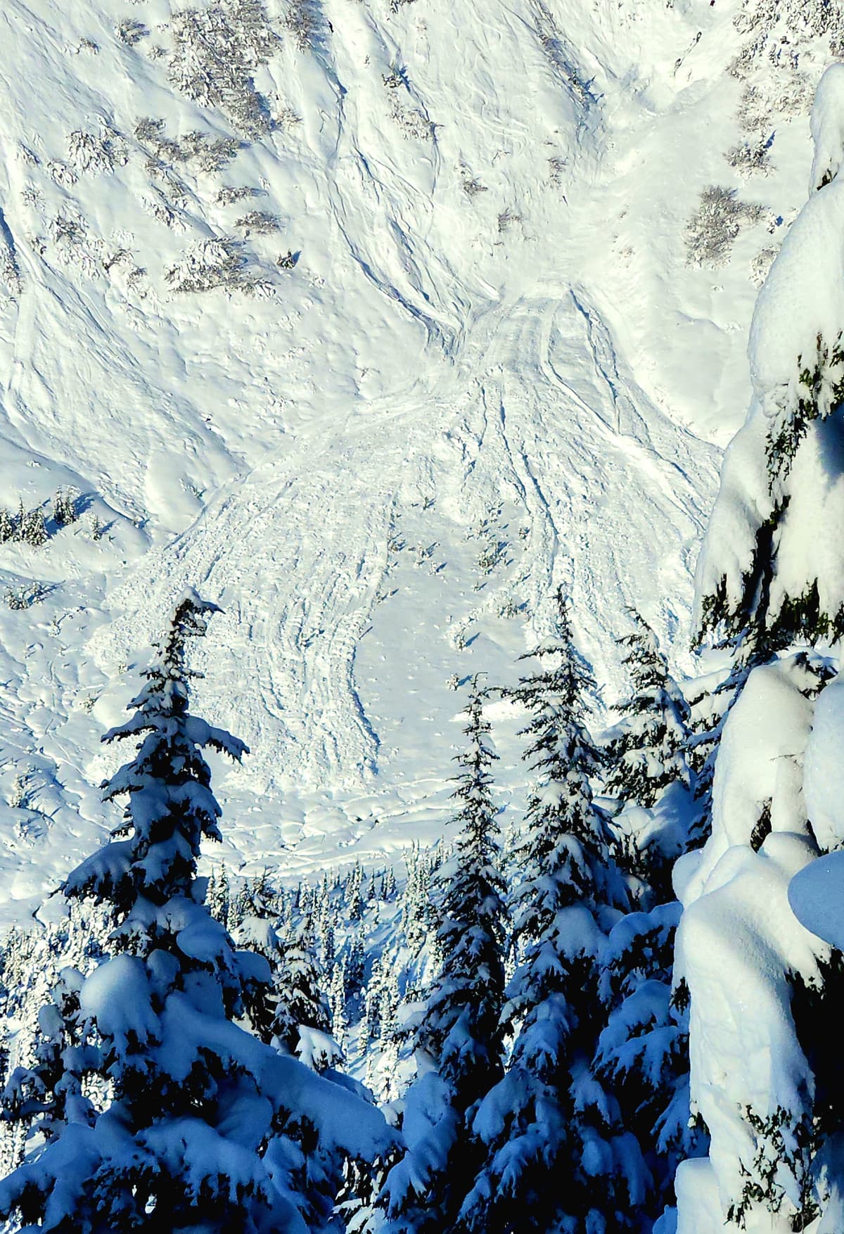 Lg runouts bottom of geronimo bowl, hour glass, avalanche bowl from the storm cycle thur to sat.