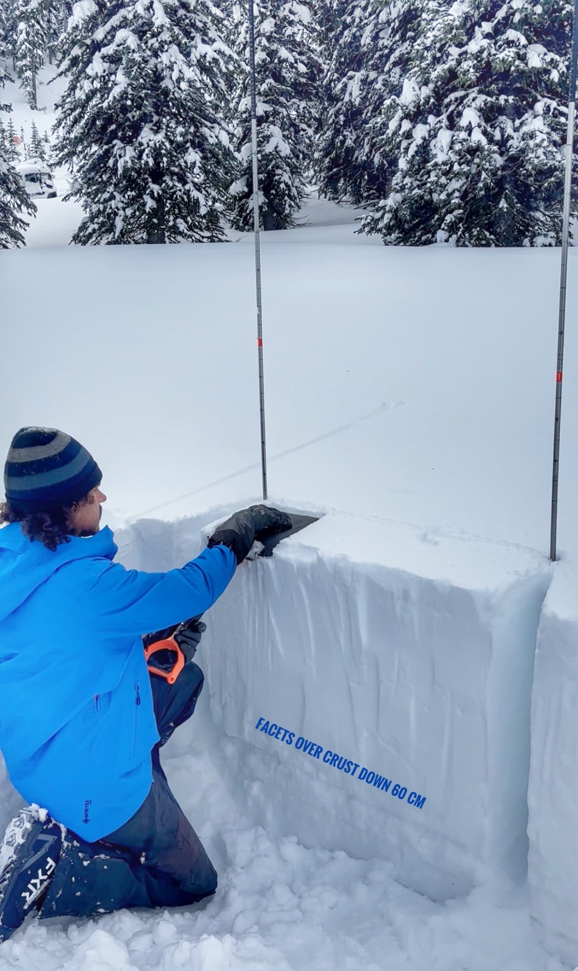 Layer of facets that produced hard results in snowpack tests.