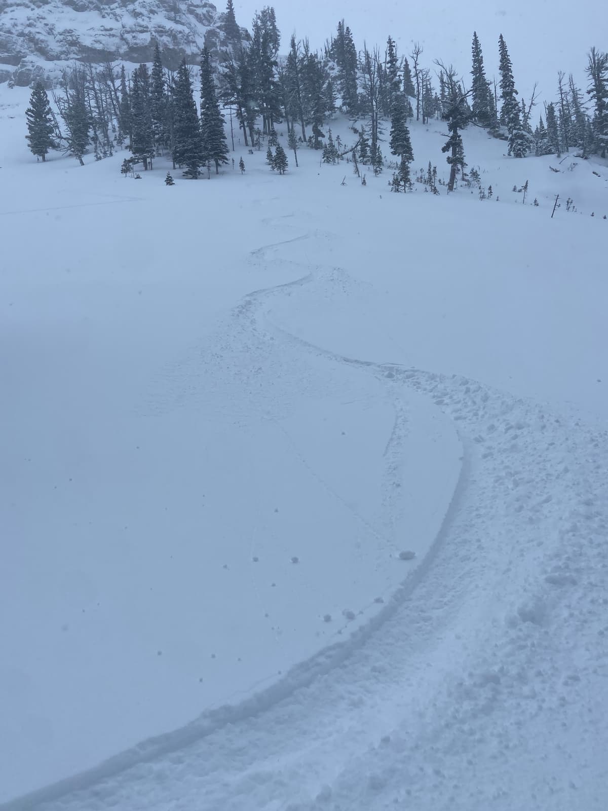 No wind effect at treeline then which I wasn’t expecting.