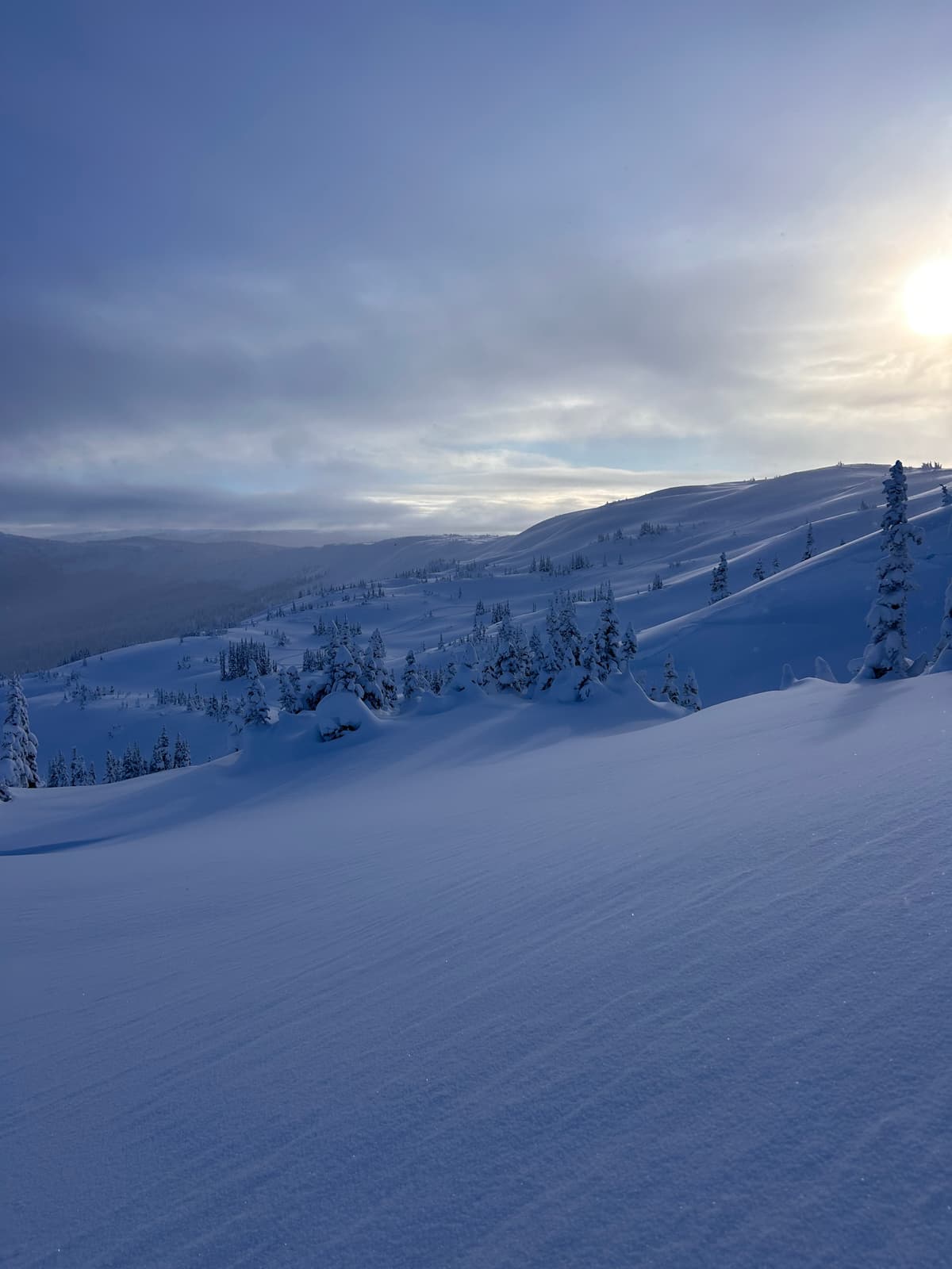 Fresh snow and no wind made for excellent riding!