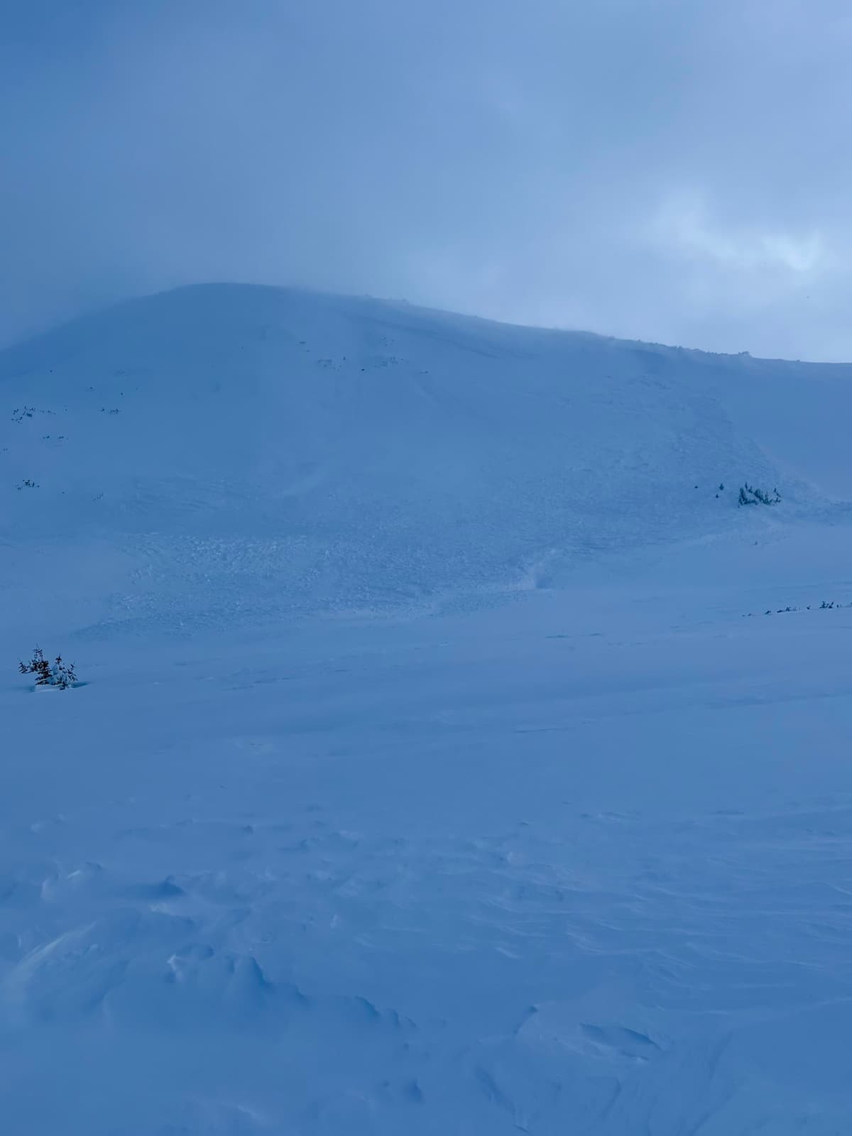 Size 2 wind slab avalanche on a west aspect at 1600m.