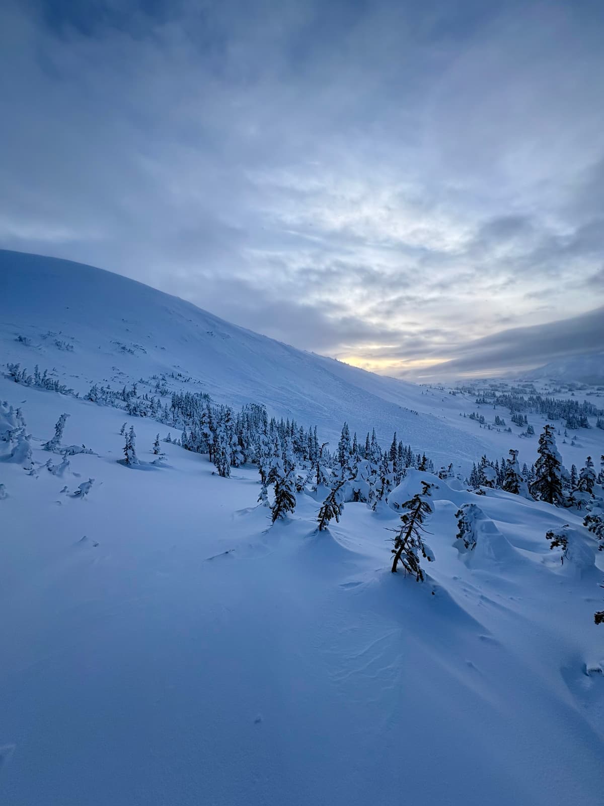 Another angle of the size 2 wind slab avalanche we observed today.