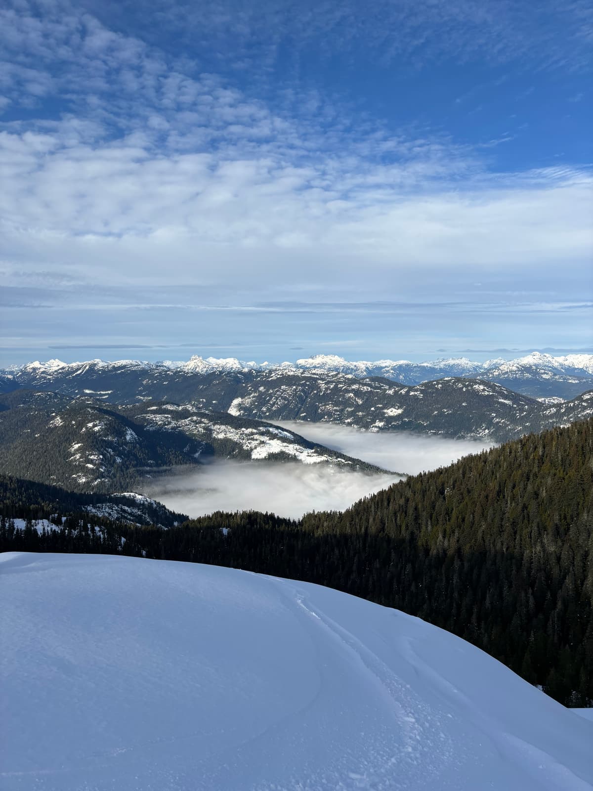 Looking N towards Strathcona