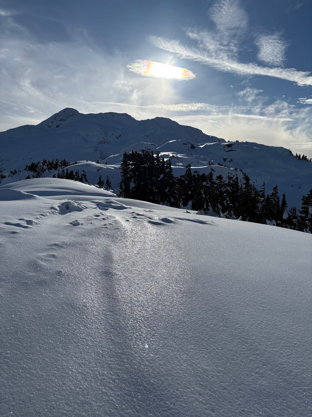 Surface crust shinning in the alpine sun