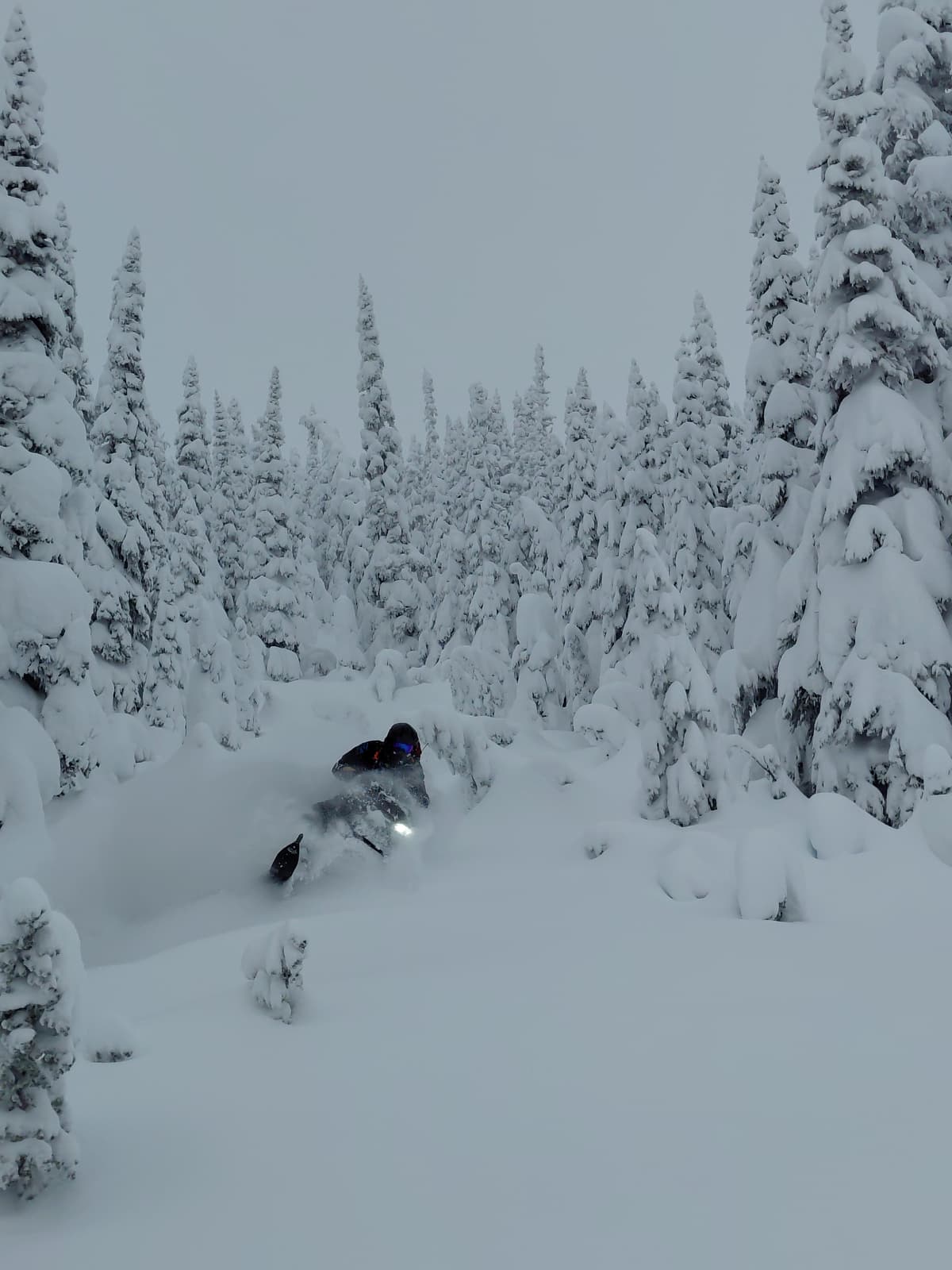 Powder!