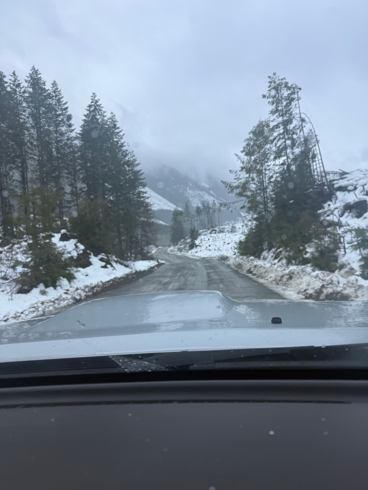 Road at 450m before the turn up the cutblock. At the turn it becomes challenging.