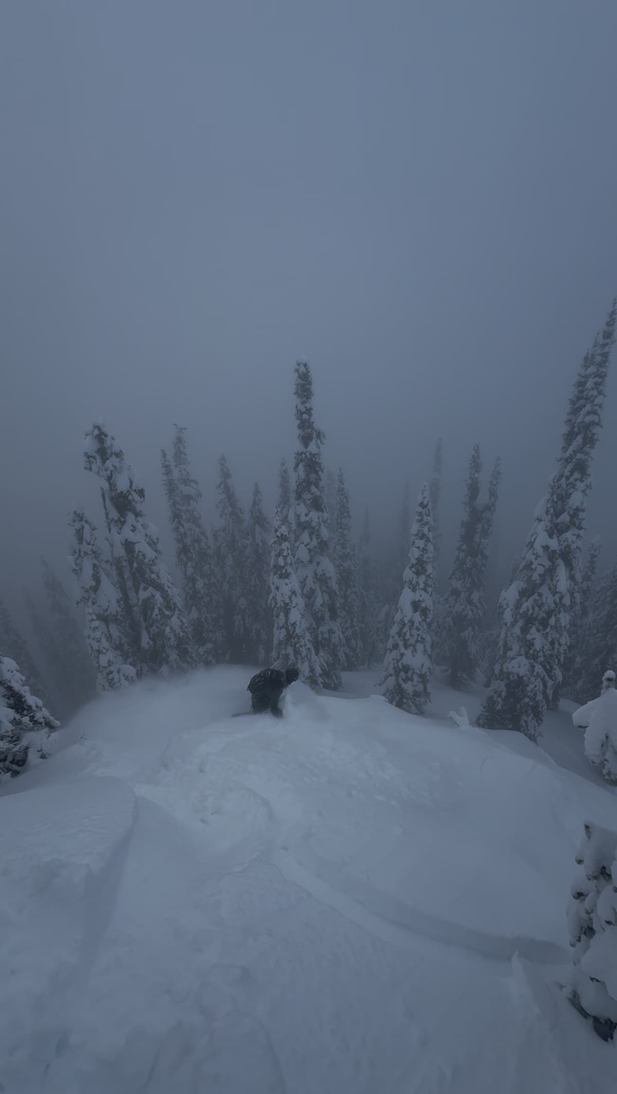 One of many sluffs letting go sequence