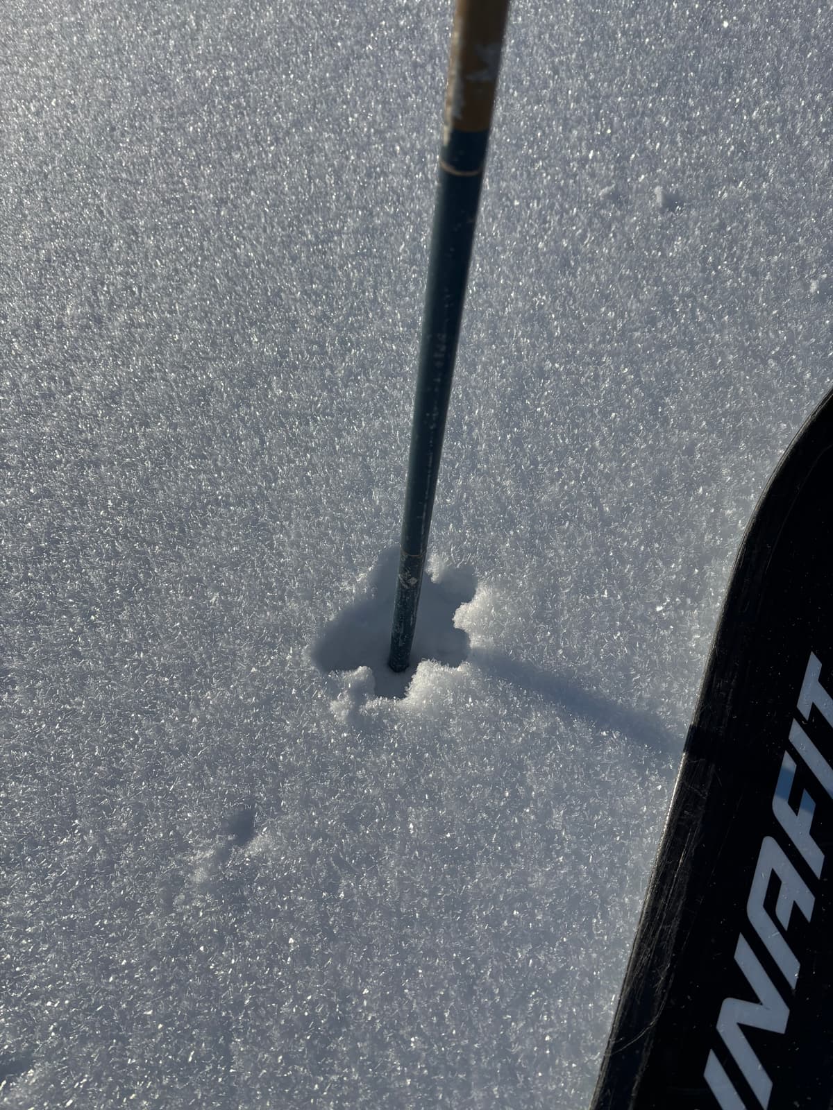 Surface hoar on the way up