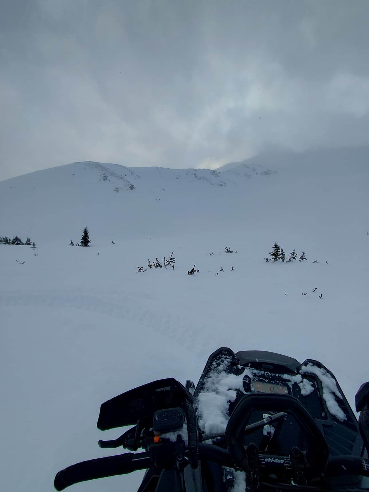 Scouring and loading in the Alpine