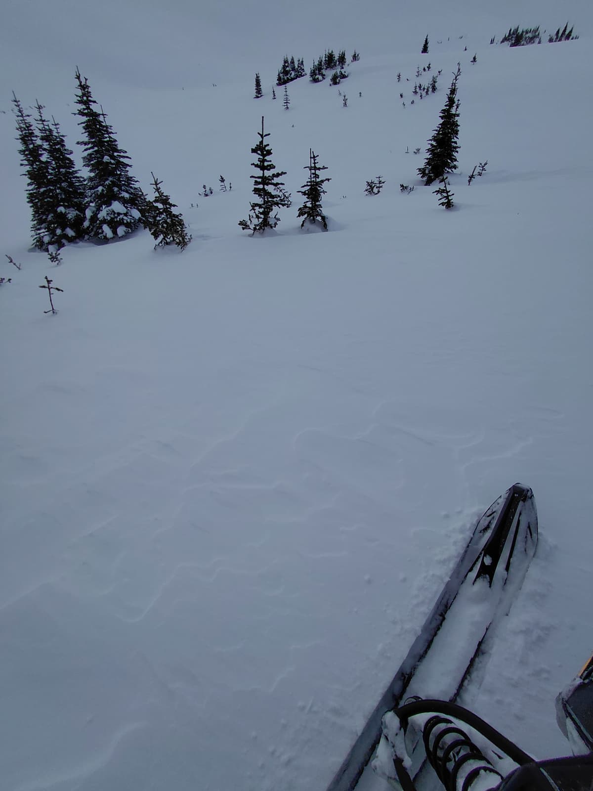 Wind affected snow