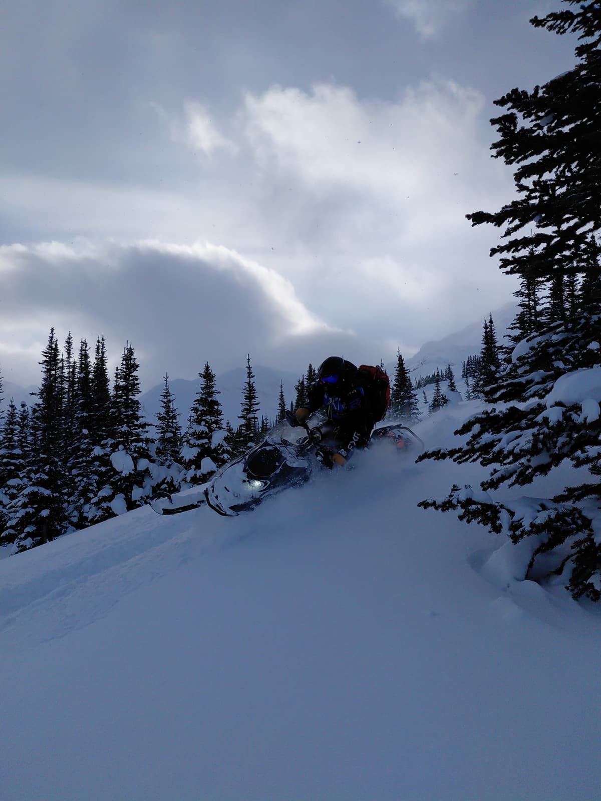 Scouring and loading in the Alpine