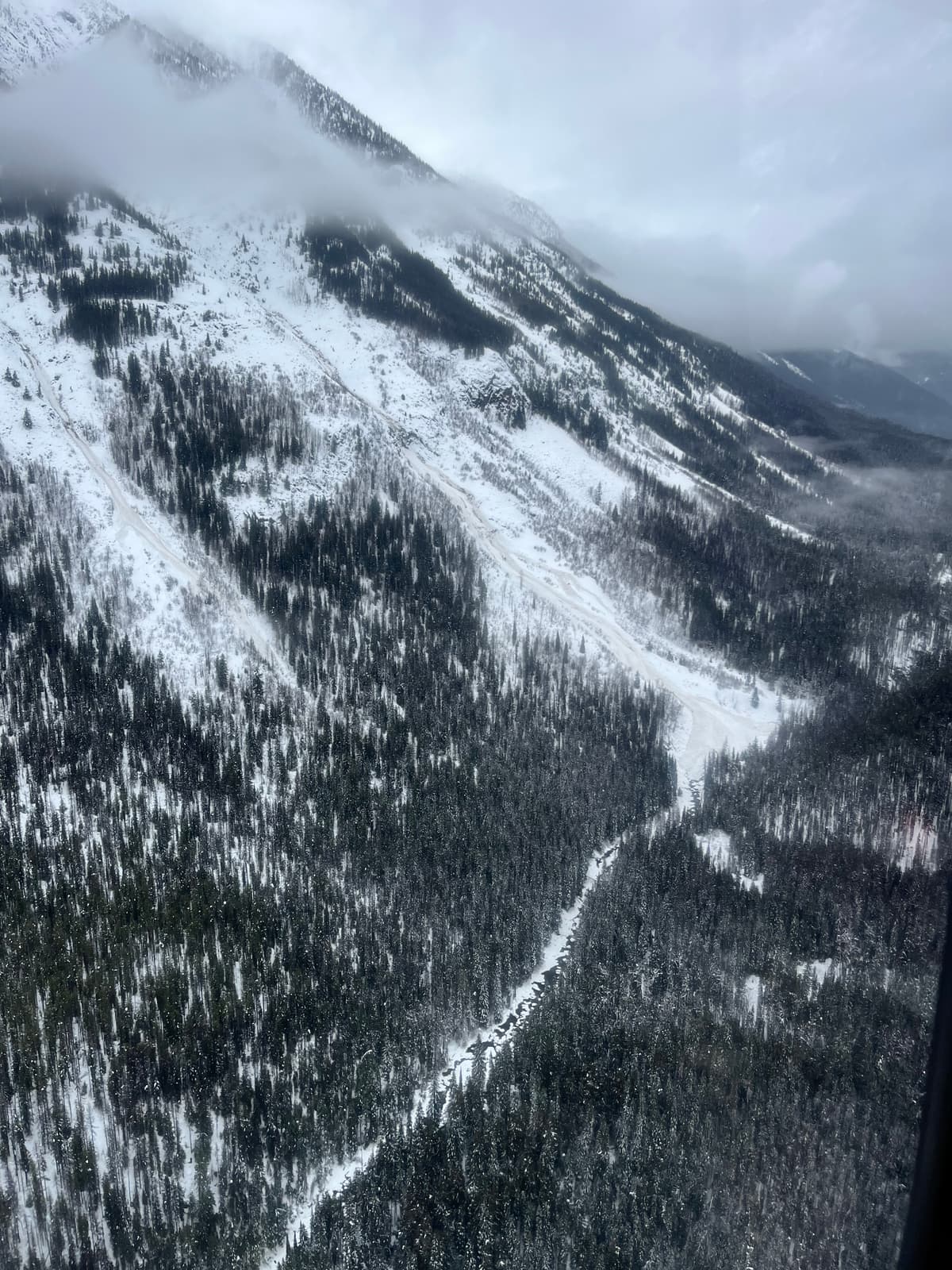Dirty Na Sz 3.5 ran down to the white creek. Likely occurred mon Jan 12th when it was warm and wet. SE aspect, 2560m start zone. Several other nearby paths also ran