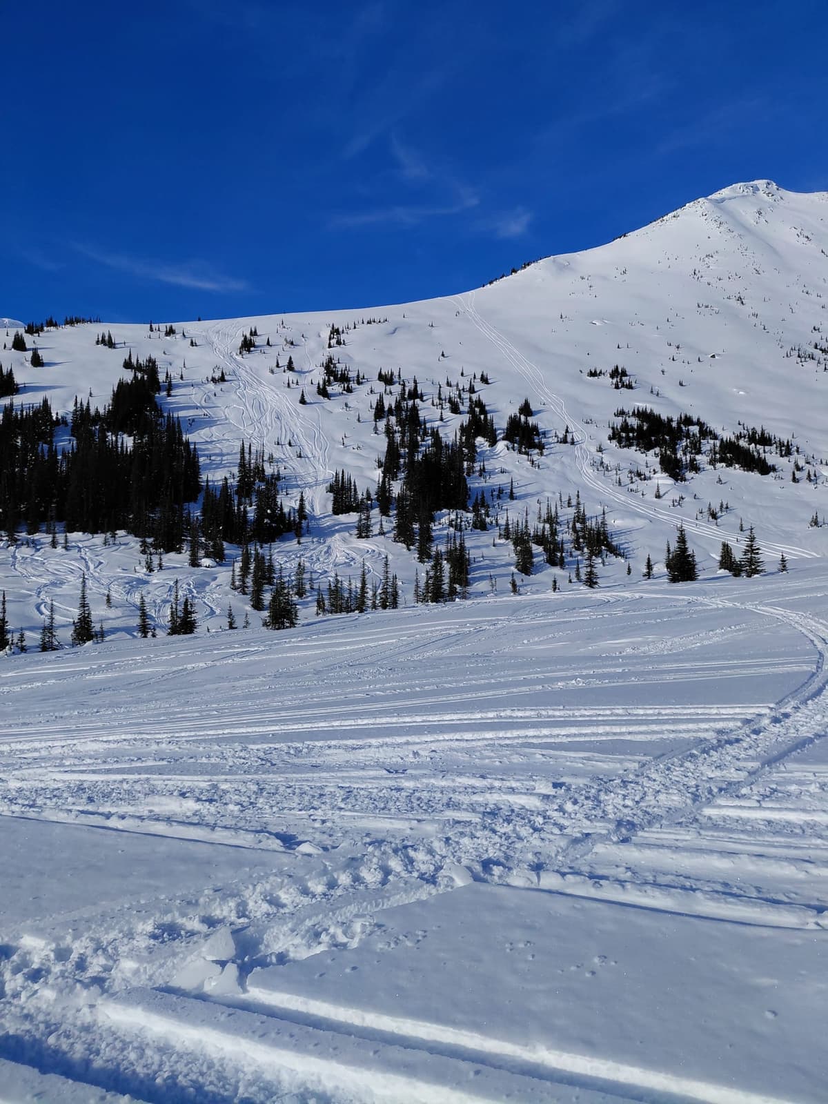Even with Low Hazard at treeline, we stuck to best practices and spaced out while travelling on larger slopes.