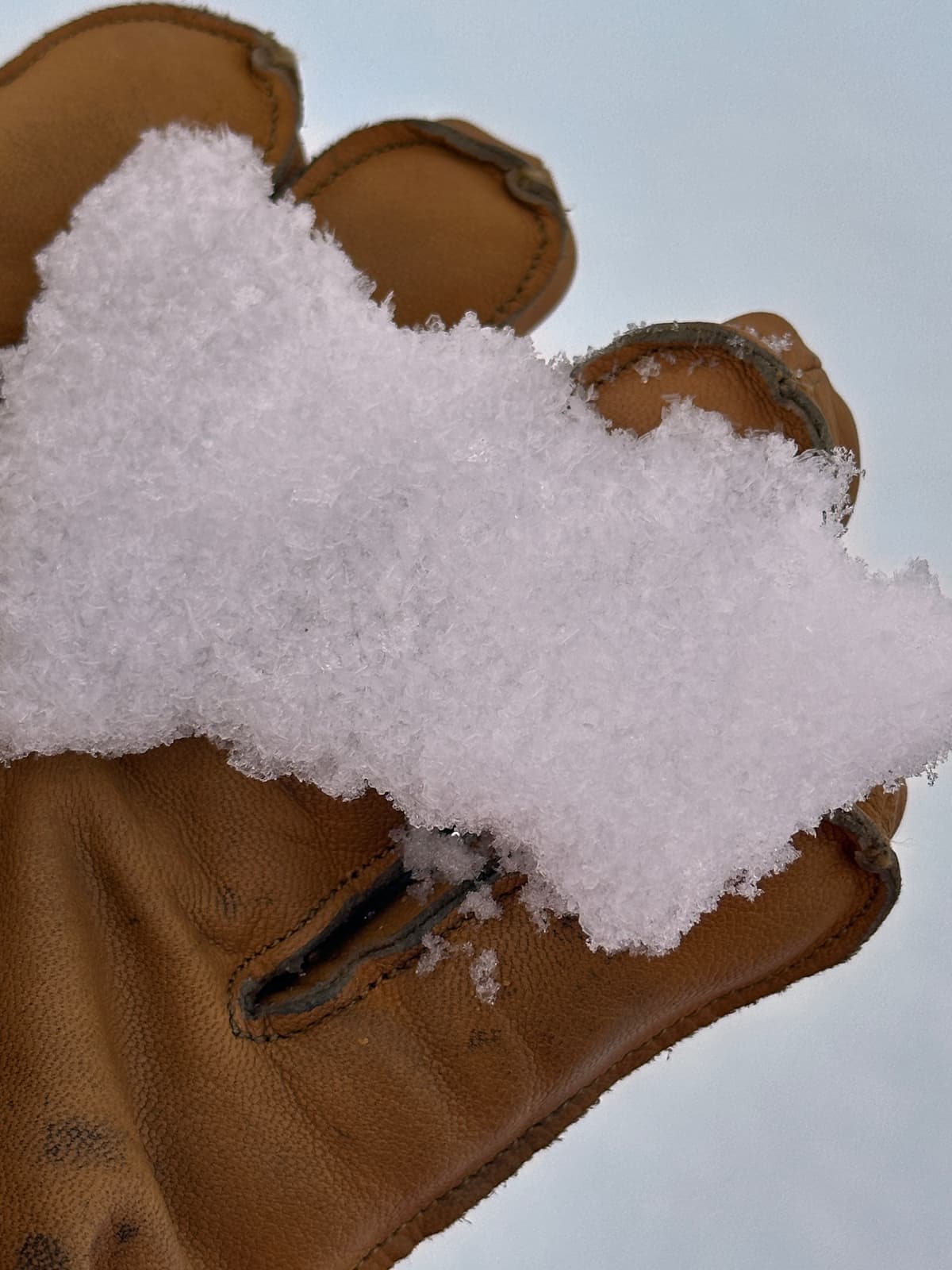 In exposed areas like the alpine the surface hoar is an average of 3-4 mm.